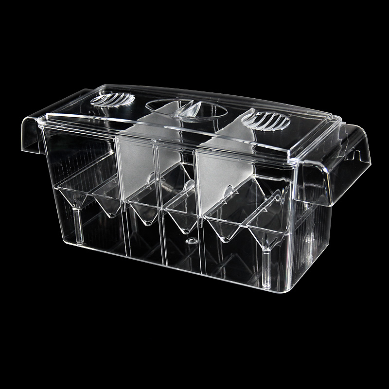 Clear Aquarium Fish Tank Isola - Aquarium Fish Betta ulasan dan harga