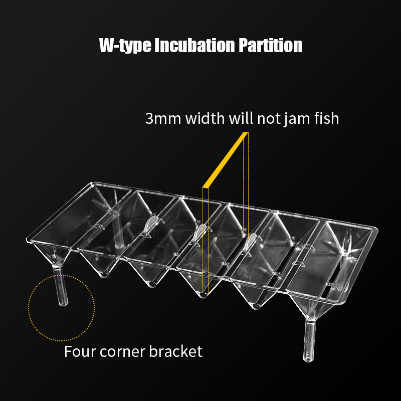 Clear Aquarium Fish Tank Isola - Aquarium Fish Betta ulasan dan harga