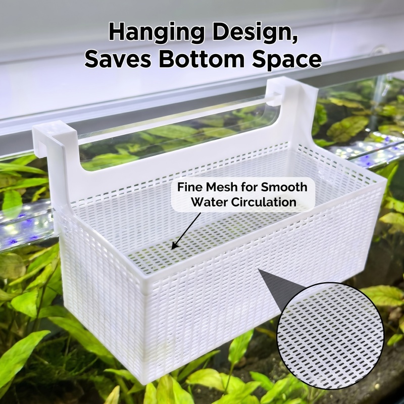 1pc Fish Breeding Isolation Bo - Aquarium Fish Betta ulasan dan harga