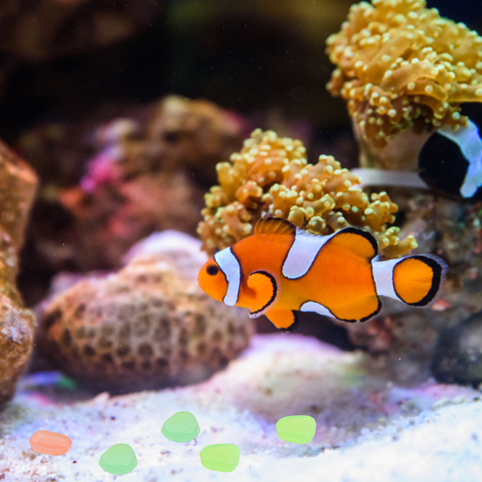 400Pcs Glow in The Dark Pebble - Fish Tank Gravel ulasan dan harga