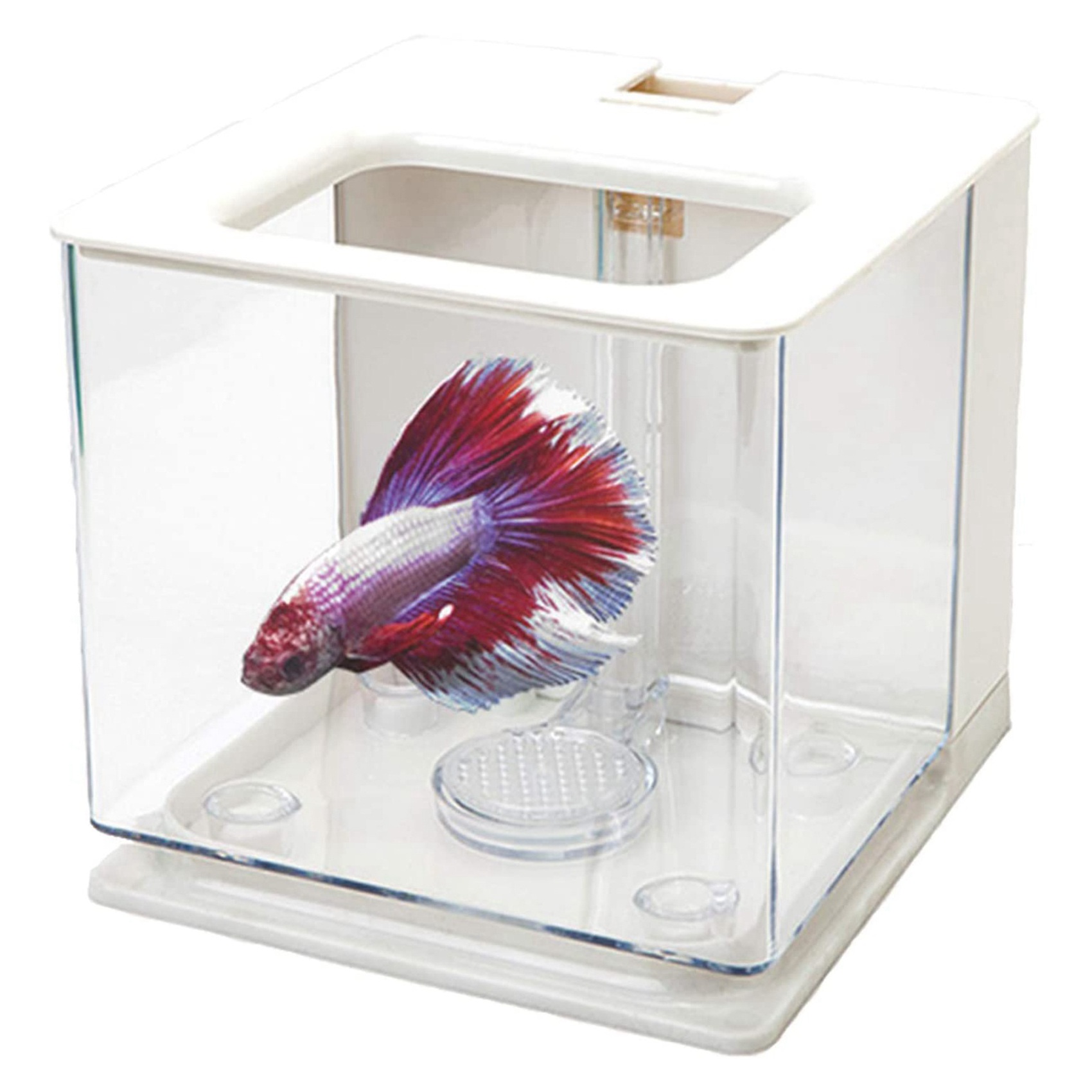 AT21-2X Betta Fish Tank Aquari - Aquarium Fish Betta ulasan dan harga