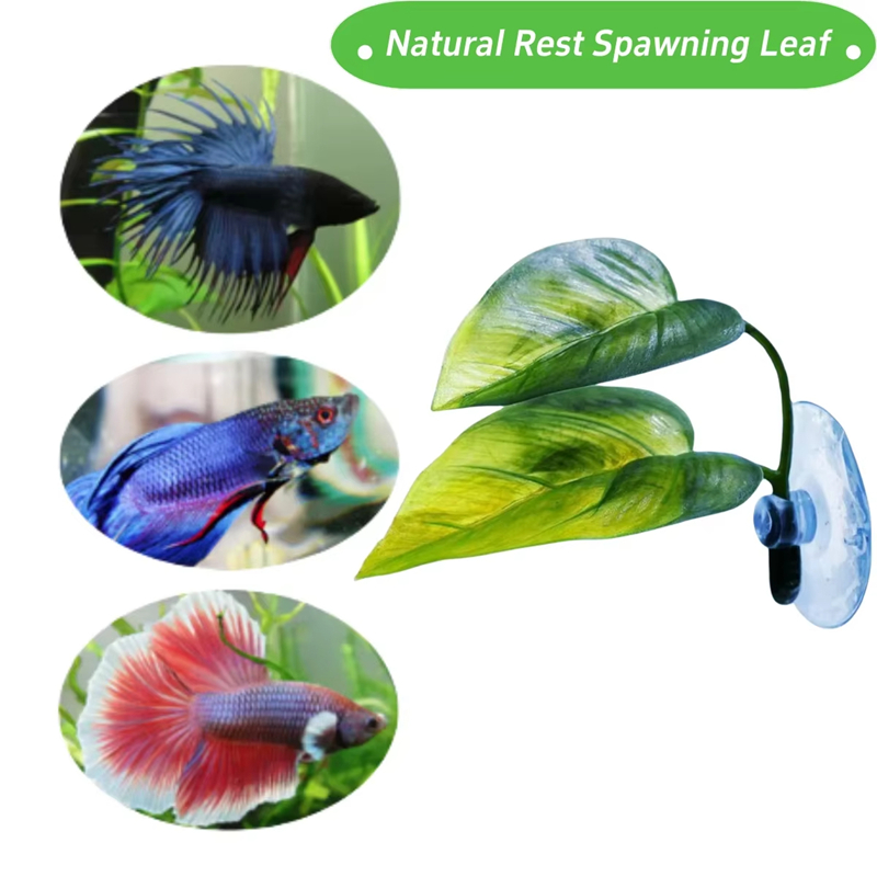Aquarium Pet Supplies Decorati - Betta Fish Tank ulasan dan harga