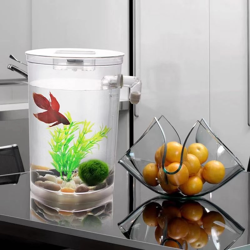Lazy Free Water Change Desktop - Betta Fish Tank ulasan dan harga