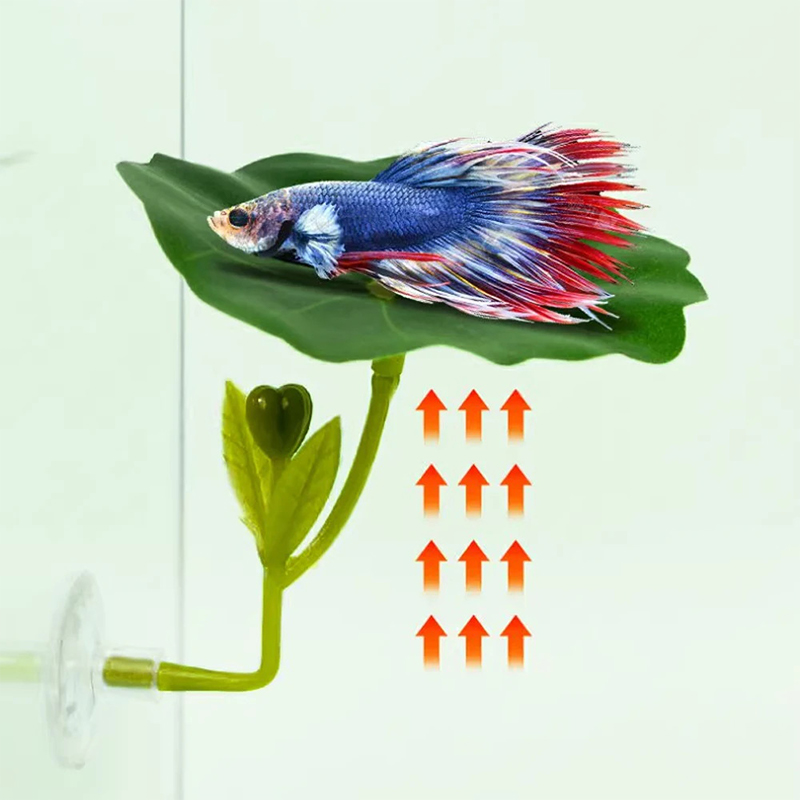 (Ce14)1/5PC Green Leaf Hammock - Betta Fish Tank ulasan dan harga