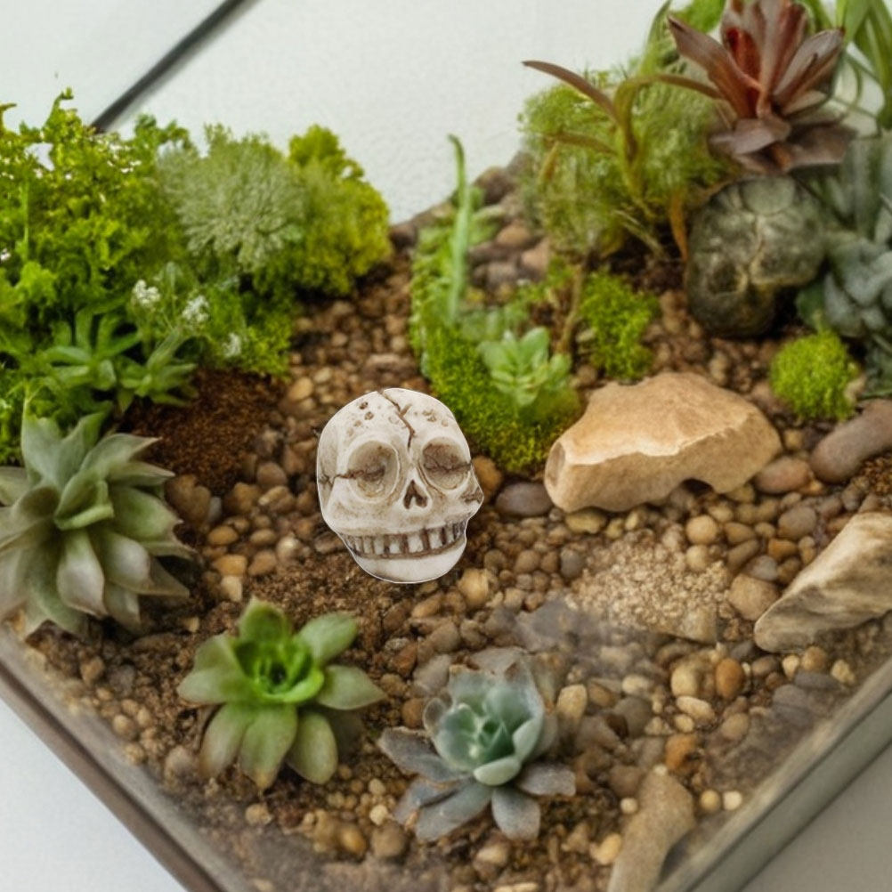 20Pcs Resin Smiling Skull Stat - Aquarium Decor ulasan dan harga
