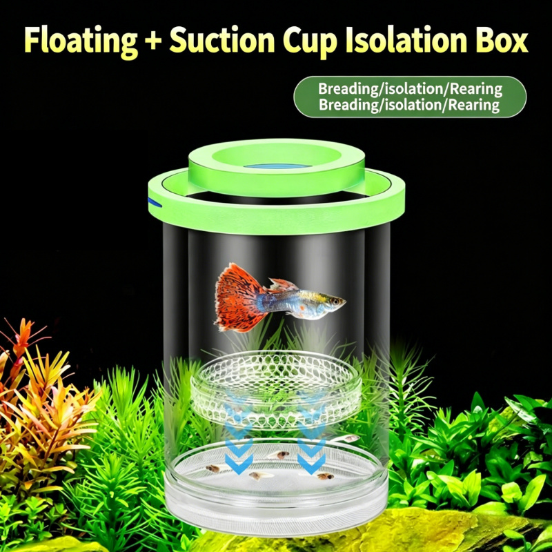 Transparent Floating Aquarium  - Aquarium Fish Betta ulasan dan harga