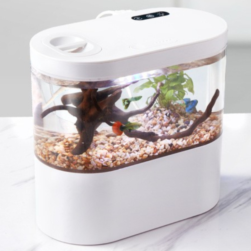 Creative Mini Desktop Fish Tan - Betta Fish Tank ulasan dan harga
