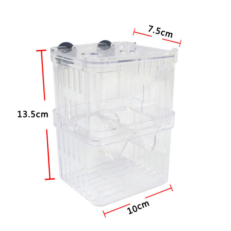 Peacock Fish Breeding Isolatio - Betta Fish Tank ulasan dan harga
