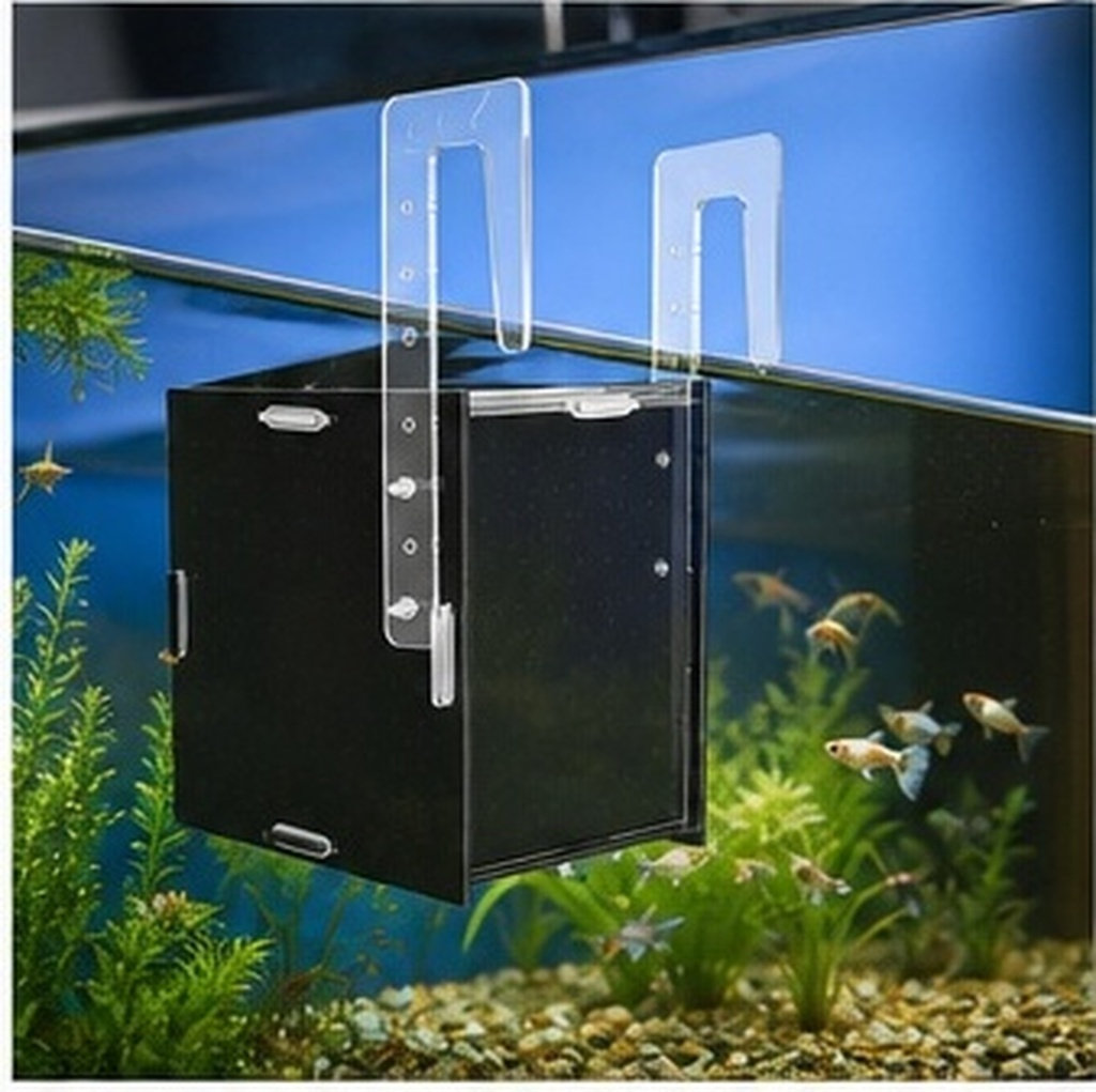 Fish Breeding Isolation Box Ac - Aquarium Fish Betta ulasan dan harga